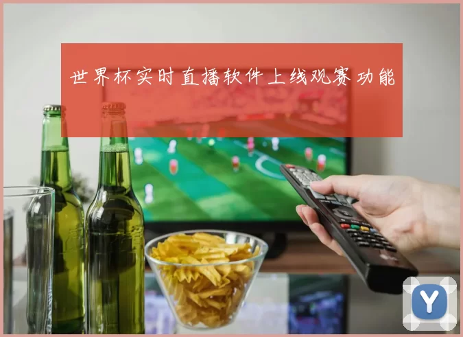 世界杯实时直播软件上线观赛功能