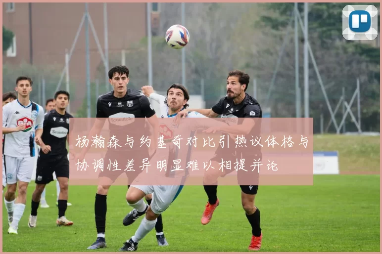 杨瀚森与约基奇对比引热议体格与协调性差异明显难以相提并论