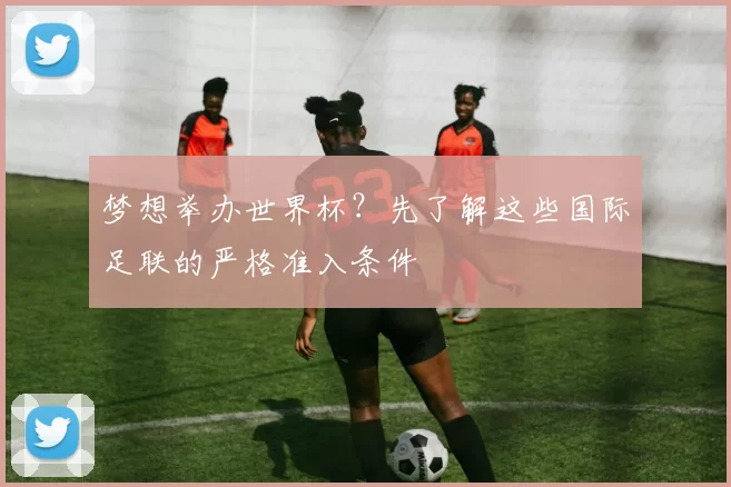 梦想举办世界杯?先了解这些国际足联的严格准入条件