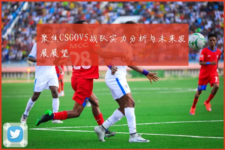 聚焦CSGOV5战队实力分析与未来发展展望