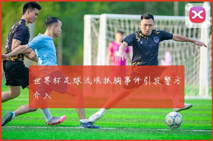世界杯足球流氓抓胸事件引发警方介入