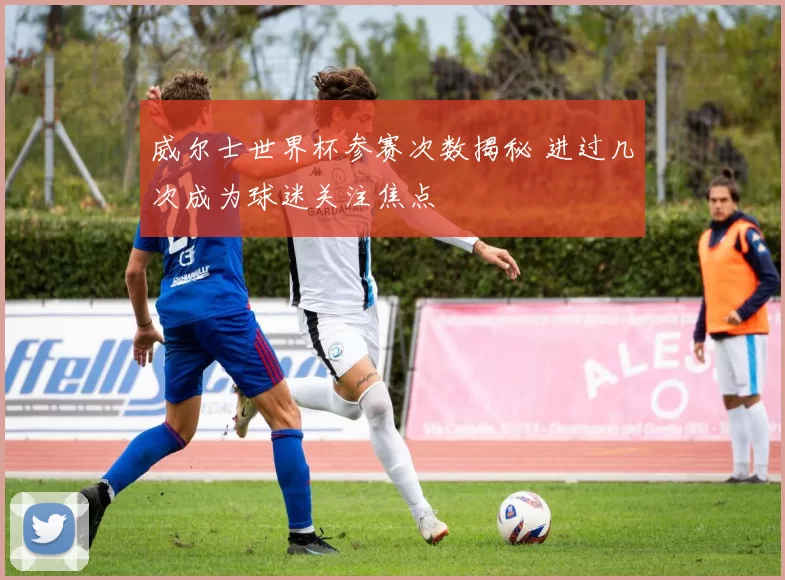 威尔士世界杯参赛次数揭秘 进过几次成为球迷关注焦点