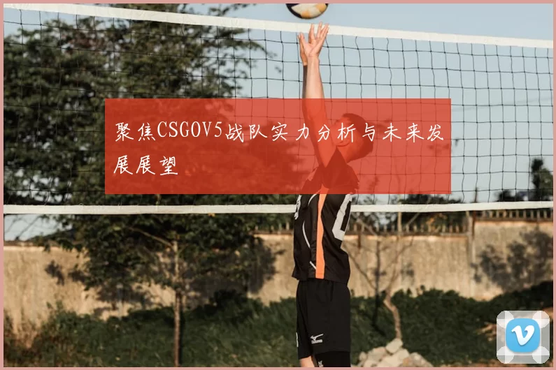 聚焦CSGOV5战队实力分析与未来发展展望