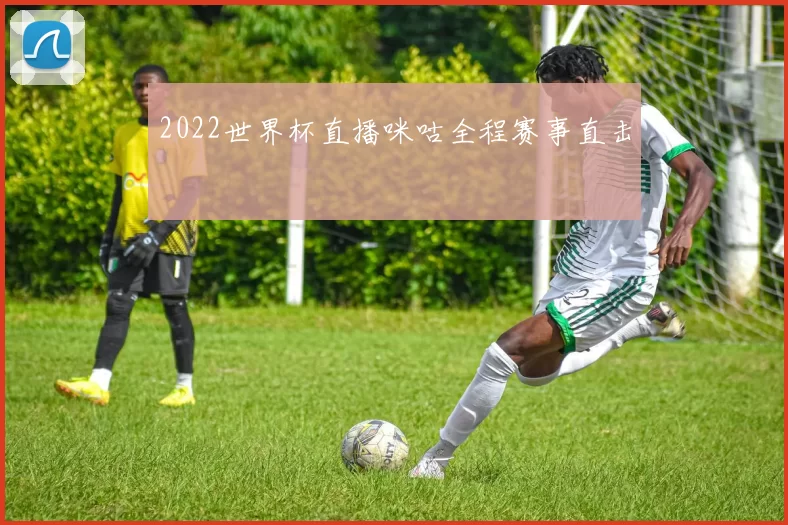 2022世界杯直播咪咕全程赛事直击