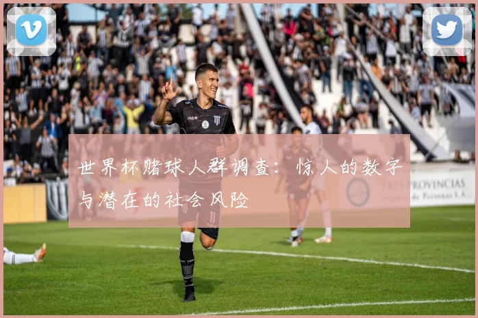 世界杯赌球人群调查:惊人的数字与潜在的社会风险